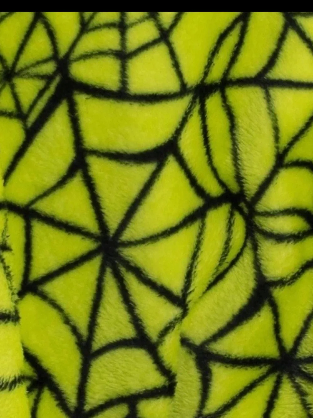 Not for Sale” (No disponible). Hyde & EEK! Neon Green Spiderweb P